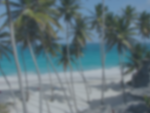 Travel Expert Background
